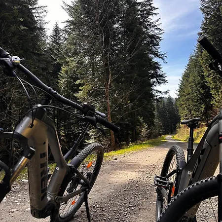 Apartment Tylicki Dworek *